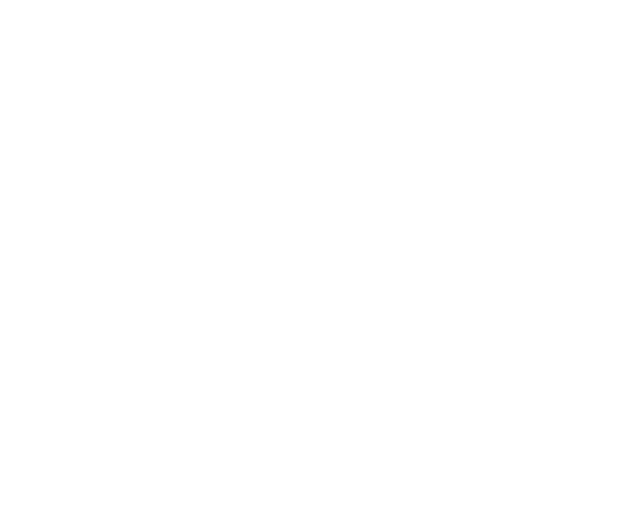 Wavefront Software Logo